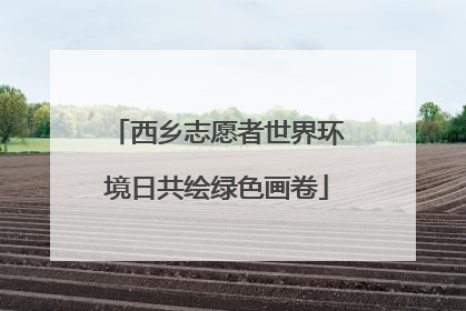 西乡志愿者世界环境日共绘绿色画卷
