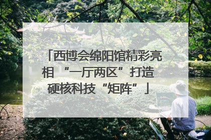 西博会绵阳馆精彩亮相 “一厅两区”打造硬核科技“矩阵”