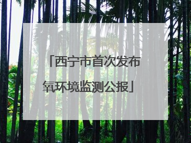 西宁市首次发布氧环境监测公报
