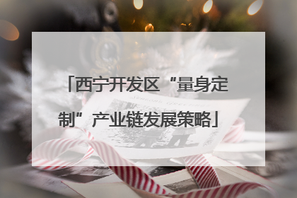 西宁开发区“量身定制”产业链发展策略