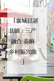 襄城县湛北镇：三产融合 奏响乡村振兴曲