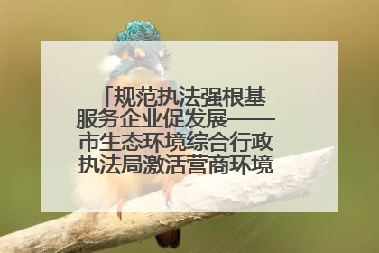 规范执法强根基 服务企业促发展——市生态环境综合行政执法局激活营商环境“绿色动能”