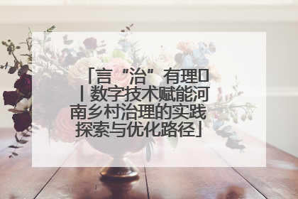 言“治”有理⑪丨数字技术赋能河南乡村治理的实践探索与优化路径