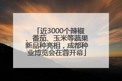 近3000个辣椒、番茄、玉米等蔬果新品种亮相，成都种业博览会在蓉开幕
