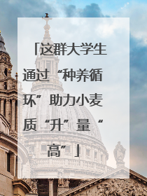 这群大学生通过“种养循环”助力小麦质“升”量“高”