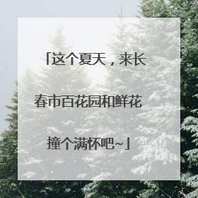 这个夏天，来长春市百花园和鲜花撞个满怀吧~