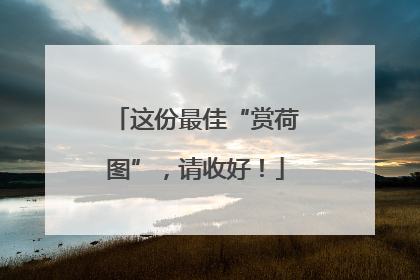 这份最佳“赏荷图”，请收好！