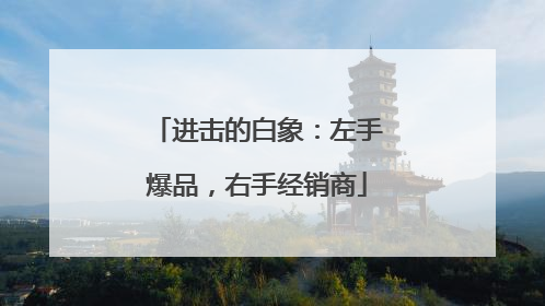 进击的白象：左手爆品，右手经销商