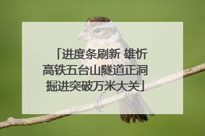 进度条刷新 雄忻高铁五台山隧道正洞掘进突破万米大关