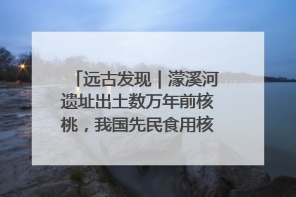 远古发现｜濛溪河遗址出土数万年前核桃，我国先民食用核桃历史大幅提前