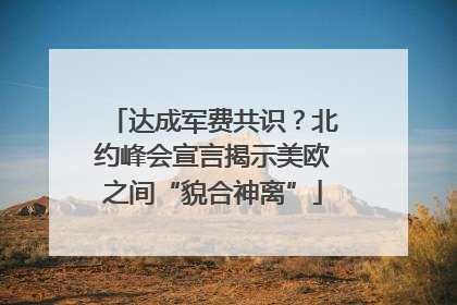 达成军费共识？北约峰会宣言揭示美欧之间“貌合神离”
