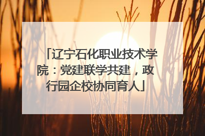 辽宁石化职业技术学院：党建联学共建，政行园企校协同育人