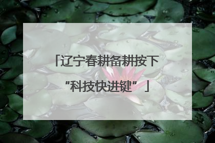 辽宁春耕备耕按下“科技快进键”