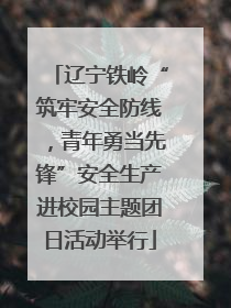 辽宁铁岭“筑牢安全防线，青年勇当先锋”安全生产进校园主题团日活动举行