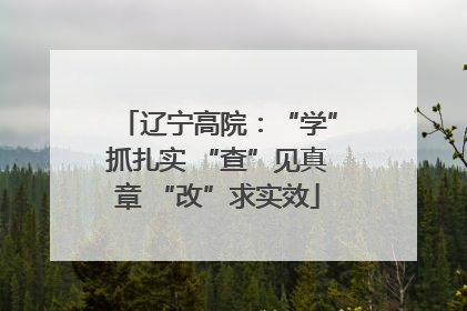 辽宁高院：“学”抓扎实 “查”见真章 “改”求实效