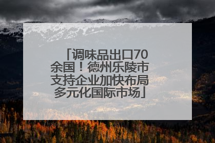 调味品出口70余国！德州乐陵市支持企业加快布局多元化国际市场