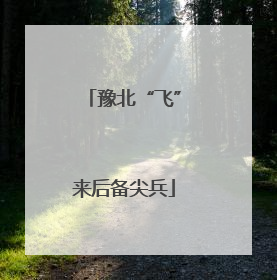 豫北“飞”来后备尖兵