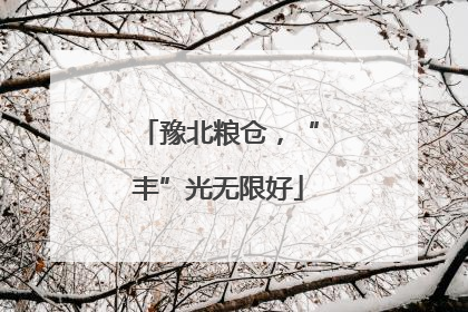 豫北粮仓，“丰”光无限好