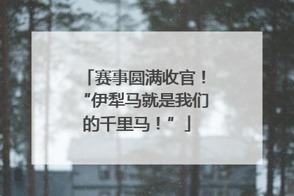 赛事圆满收官！“伊犁马就是我们的千里马！”
