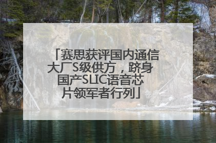 赛思获评国内通信大厂S级供方，跻身国产SLIC语音芯片领军者行列