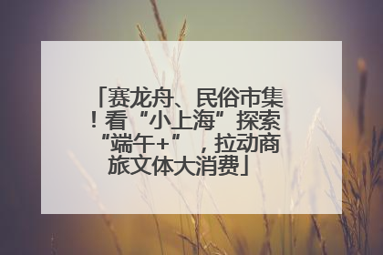 赛龙舟、民俗市集！看“小上海”探索“端午+”，拉动商旅文体大消费