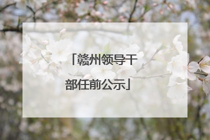赣州领导干部任前公示