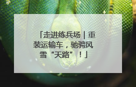 走进练兵场｜重装运输车，驰骋风雪“天路”！