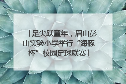 足尖跃童年，眉山彭山实验小学举行“海豚杯”校园足球联赛