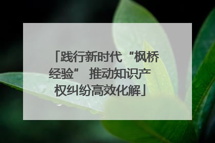 践行新时代“枫桥经验” 推动知识产权纠纷高效化解