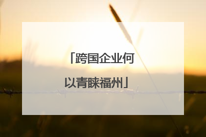 跨国企业何以青睐福州