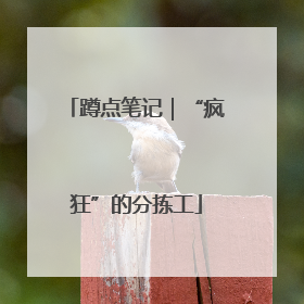 蹲点笔记｜“疯狂”的分拣工