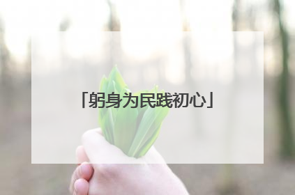 躬身为民践初心