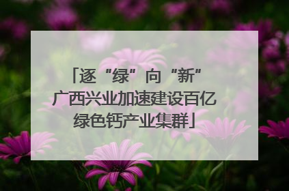 逐“绿”向“新” 广西兴业加速建设百亿绿色钙产业集群