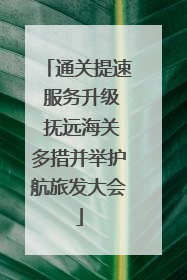 通关提速 服务升级 抚远海关多措并举护航旅发大会