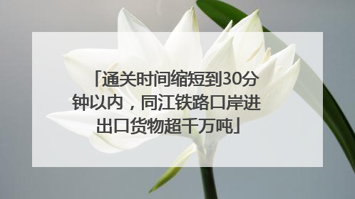 通关时间缩短到30分钟以内，同江铁路口岸进出口货物超千万吨
