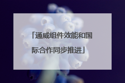 通威组件效能和国际合作同步推进