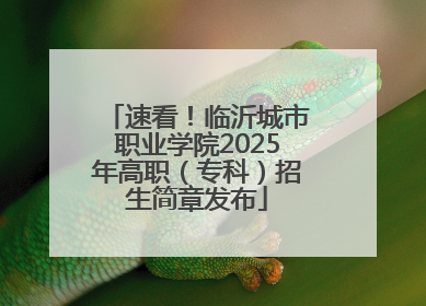 速看！临沂城市职业学院2025年高职（专科）招生简章发布