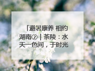 避暑康养 相约湖南②｜茶陵：水天一色间，于时光里拾取诗意