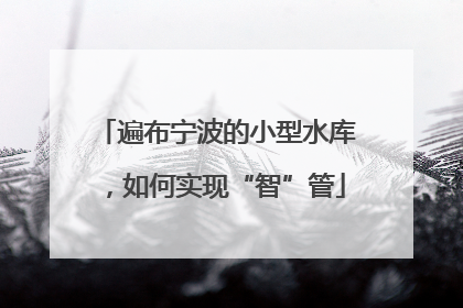 遍布宁波的小型水库，如何实现“智”管