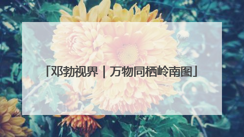 邓勃视界｜万物同栖岭南图