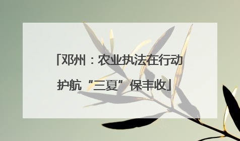 邓州：农业执法在行动 护航“三夏”保丰收