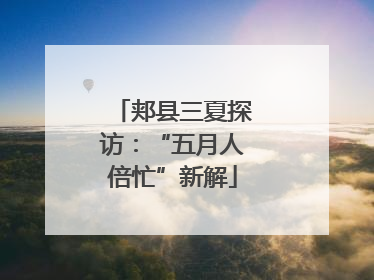 郏县三夏探访：“五月人倍忙”新解