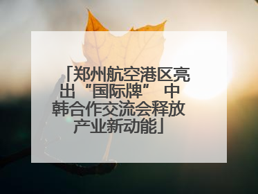 郑州航空港区亮出“国际牌” 中韩合作交流会释放产业新动能