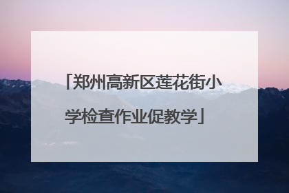 郑州高新区莲花街小学检查作业促教学