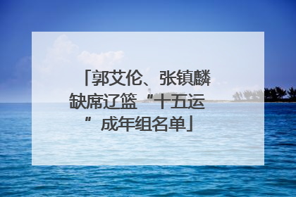 郭艾伦、张镇麟缺席辽篮“十五运”成年组名单