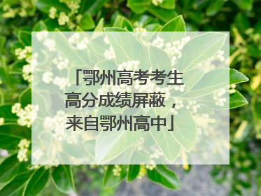 鄂州高考考生高分成绩屏蔽，来自鄂州高中
