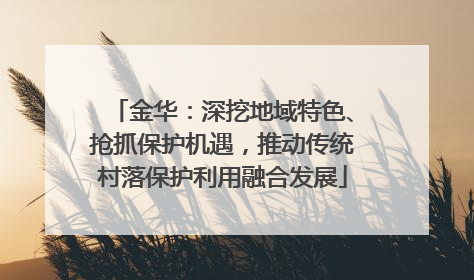 金华：深挖地域特色、抢抓保护机遇，推动传统村落保护利用融合发展