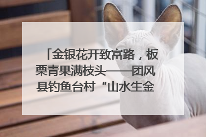 金银花开致富路，板栗青果满枝头——团风县钓鱼台村“山水生金”谱写共富新篇章