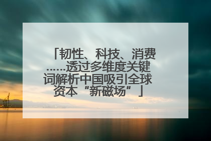 韧性、科技、消费……透过多维度关键词解析中国吸引全球资本“新磁场”