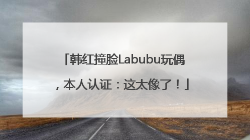 韩红撞脸Labubu玩偶，本人认证：这太像了！